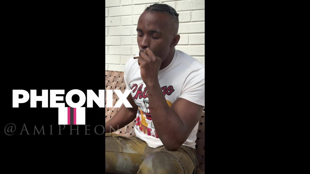 pheonix_anime_0003-1024x576